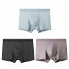 Accessories | Stripe Polyester Men’s underwear (Set of 3) As Picture – Mens