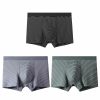 Accessories | Stripe Polyester Men’s underwear (Set of 3) As Picture – Mens