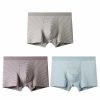 Accessories | Stripe Polyester Men’s underwear (Set of 3) As Picture – Mens