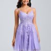 Birthday | A-line V-Neck Short Tulle Lace Homecoming Dress As Picture – Womens