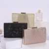 Clutches | Attractive/Elegant/Charming/Pretty/Refined Clutch Bags Champagne – Womens