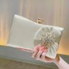 Clutches | Bowknot Clutch Bags/Clutches & Evening Bags Beige – Womens