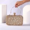 Clutches | Delicate/Refined Clutch Bags As Picture – Womens