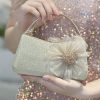 Clutches | Elegant/Vintage Handbags/Clutch Bags Champagne – Womens