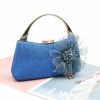 Clutches | Elegant/Vintage Handbags/Clutch Bags Champagne – Womens