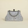 Clutches | Metal Fashionable Handbags Champagne – Womens