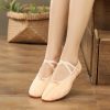 Dance Shoes | Women’s Jazz Shoes Flat Heel Canvas Indoor Solid Color Dance Shoes Pink – Womens