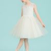 Flower Girl Dresses | A-line Scoop Knee-Length Lace/Tulle Flower Girl Dress As Picture – Girls