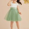 Flower Girl Dresses | A-line Scoop Knee-Length Lace/Tulle Flower Girl Dress Dusty Rose – Girls