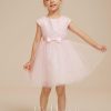 Flower Girl Dresses | A-line Scoop Knee-Length Tulle Flower Girl Dress Blushing Pink – Girls