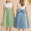 Flower Girl Dresses | A-line Scoop Tea-Length Lace/Satin/Tulle Flower Girl Dress Dusty Blue – Girls