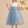 Flower Girl Dresses | A-line Scoop Tea-Length Lace/Satin/Tulle Flower Girl Dress Dusty Blue – Girls