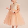 Flower Girl Dresses | A-line Scoop Tea-Length Tulle Flower Girl Dress Pearl Pink – Girls