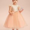 Flower Girl Dresses | A-line Scoop Tea-Length Tulle Flower Girl Dress Pearl Pink – Girls