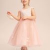 Flower Girl Dresses | A-line Scoop Tea-Length Tulle Flower Girl Dress Pearl Pink – Girls