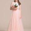 Flower Girl Dresses | A-line V-Neck Floor-Length Tulle Flower Girl Dress Pearl Pink – Girls