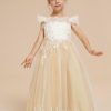 Flower Girl Dresses | Ball-Gown/Princess Scoop Detachable/Court Train Lace/Tulle Flower Girl Dress Champagne – Girls