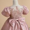 Flower Girl Dresses | Ball-Gown/Princess Scoop Detachable/Knee-Length Lace/Satin Flower Girl Dress Dusty Rose – Girls