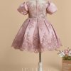 Flower Girl Dresses | Ball-Gown/Princess Scoop Detachable/Knee-Length Lace/Satin Flower Girl Dress Dusty Rose – Girls