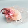 Hats | Women’s Elegant/Vintage Mesh With Flower/Faux Feather Cocktail/Kentucky Derby Pillbox Hats/Fascinators With Clip Black – Girls