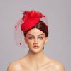 Hats | Women’s Elegant/Vintage Mesh With Flower/Faux Feather Cocktail/Kentucky Derby Pillbox Hats/Fascinators With Clip Black – Girls