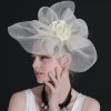 Hats | Women’s Mesh Flower Kentucky Derby Fascinators With Clip Beige – Girls