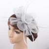 Hats | Women’s Mesh Kentucky Derby Fascinators With Clip Light Purple – Girls