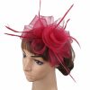 Hats | Women’s Mesh Kentucky Derby Fascinators With Clip Light Purple – Girls