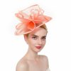 Hats | Women’s Mesh With Bowknot/Faux Feather Kentucky Derby Fascinators With Clip/Headband Pink – Girls