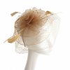 Hats | Women’s Mesh With Faux Feather/Veil Kentucky Derby Fascinators With Clip/Headband Rose – Girls