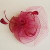 Hats | Women’s Mesh With Faux Feather/Veil Kentucky Derby Fascinators With Clip/Headband Rose – Girls