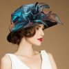 Hats | Women’s Wide Brim Organza With Faux Feather Kentucky Derby Church Hats Blue – Girls