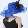 Hats | Women’s Wide Brim Organza With Flower Kentucky Derby Church Hats Black – Girls