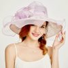 Hats | Women’s Wide Brim Organza With Flower Kentucky Derby Church Hats Light Blue – Girls