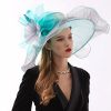 Hats | Women’s Wide Brim Organza With Flower Kentucky Derby Church Hats Rose – Girls