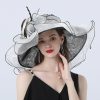 Hats | Women’s Wide Brim Organza/Polyester With Flower/Lace Kentucky Derby Church Hats Pink – Girls