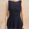 Mother of the Bride Dresses | A-line Boat Neck Illusion Tea-Length Lace Chiffon Mother of the Bride Dress With Sequins As Picture – Womens