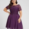 Semi-formal & Cocktail | A-line Scoop Knee-Length Lace Chiffon Cocktail Dress Grape – Womens