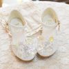 Shoes | Girl’s Princess Shoes Wedding Party Cosplay Closed Toe Junior Bridesmaid Shoes Crystal Glitter Low Heel Shoes Silver – Girls