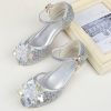 Shoes | Girl’s Princess Shoes Wedding Party Cosplay Closed Toe Junior Bridesmaid Shoes Crystal Glitter Low Heel Shoes Silver – Girls