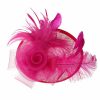 Something-Blue Accessories | Women’s Sinamay With Flower/Faux Feather Kentucky Derby Saucer Hats/Fascinators With Clip Pearl Pink – Womens