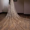 Wedding Veils | Sequin/Lace Cut Edge Single Tier Tulle Bridal Cathedral Length Wedding Veil Gold – Girls