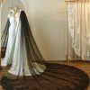 Wedding Veils | Sequin/Lace Lace Edge Single Tier Tulle Bridal Cathedral Length Wedding Veil Black – Girls