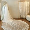 Wedding Veils | Sequin/Lace Lace Edge Single Tier Tulle Bridal Cathedral Length Wedding Veil Ivory – Girls