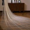 Wedding Veils | Simple Cut Edge Single Tier Tulle Bridal Cathedral Length Wedding Veil Champagne – Girls