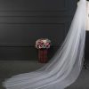 Wedding Veils | Simple Cut Edge Two Tier Tulle Bridal Cathedral Length Wedding Veil White – Girls