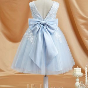 Flower Girl Dresses | A-line V-Neck Knee-Length Lace/Tulle Flower Girl Dress Sky Blue – Girls