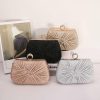 Clutches | Shining Clutch Bags As Picture – Womens